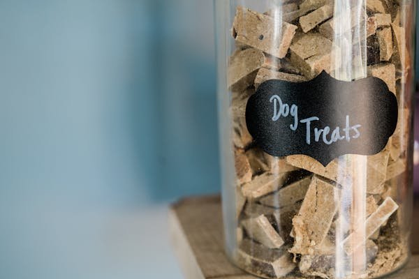 Boutique de friandises naturelles pour chien : le secret pour leur bien-être